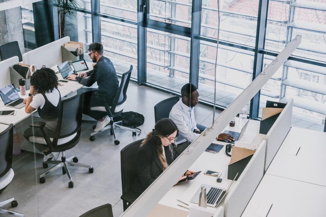 How to Get a Cybersecurity Job in 2025 - a group of people sitting at desks using laptops and working in cybersecurity company.